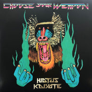 HIATUS KAIYOTE / Choose Your Weapon (Blue Marble Vinyl) (Masterworks, 2LP)