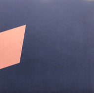ALMA NEGRA / Endless Summer EP (Heist, HEIST024, 12inch)