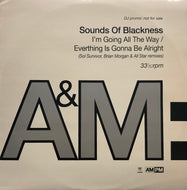 SOUNDS OF BLACKNESS / I'm Going All The Way / Everything Is Gonna Be Alright (A&M, AMPMDJ4, 12inch)