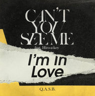Q.A.S.B. / Can't You See Me / I'm In Love (Soul Garden, SG-069, 7inch)