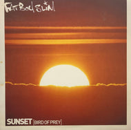 FATBOY SLIM / Sunset (Bird Of Prey) (Skint, SKINT 58, 12inch)