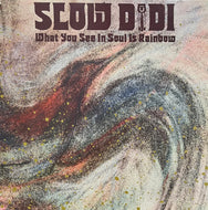 SLOW DIDI / What You See In Soul Is Rainbow (2 of 2 disks) (Music Conception – MUCO12-014, 12inch)