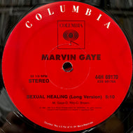 MARVIN GAYE - RODNEY FRANKLIN / Sexual Healing (Long Version) / The Groove (44H 69170, 12inch)