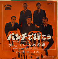 BEACH BOYS / パンチで行こう (赤盤）When I Grow Up (To Be A Man) (Capitol, CR-1161, 7inch)