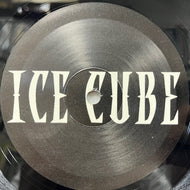 ICE CUBE / Chrome & Paint / You Got A Lot Of That (THEFRM001, 12inch)