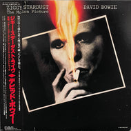DAVID BOWIE / Ziggy Stardust - The Motion Picture ( RCA ‎– RPL-3039~40, LP) 帯付