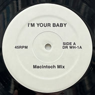 WHITNEY HOUSTON / I'm Your Baby Tonight (Macintoch Mix) (DRWH-1, 12inch)