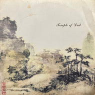 V.A. (DRY & HEAVY, INDOPEPSYCHICS) / Temple Of Dub (VIJL-60048, LP)