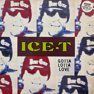 ICE-T / Gotta Lotta Love (SYNDT 3, 12inch)
