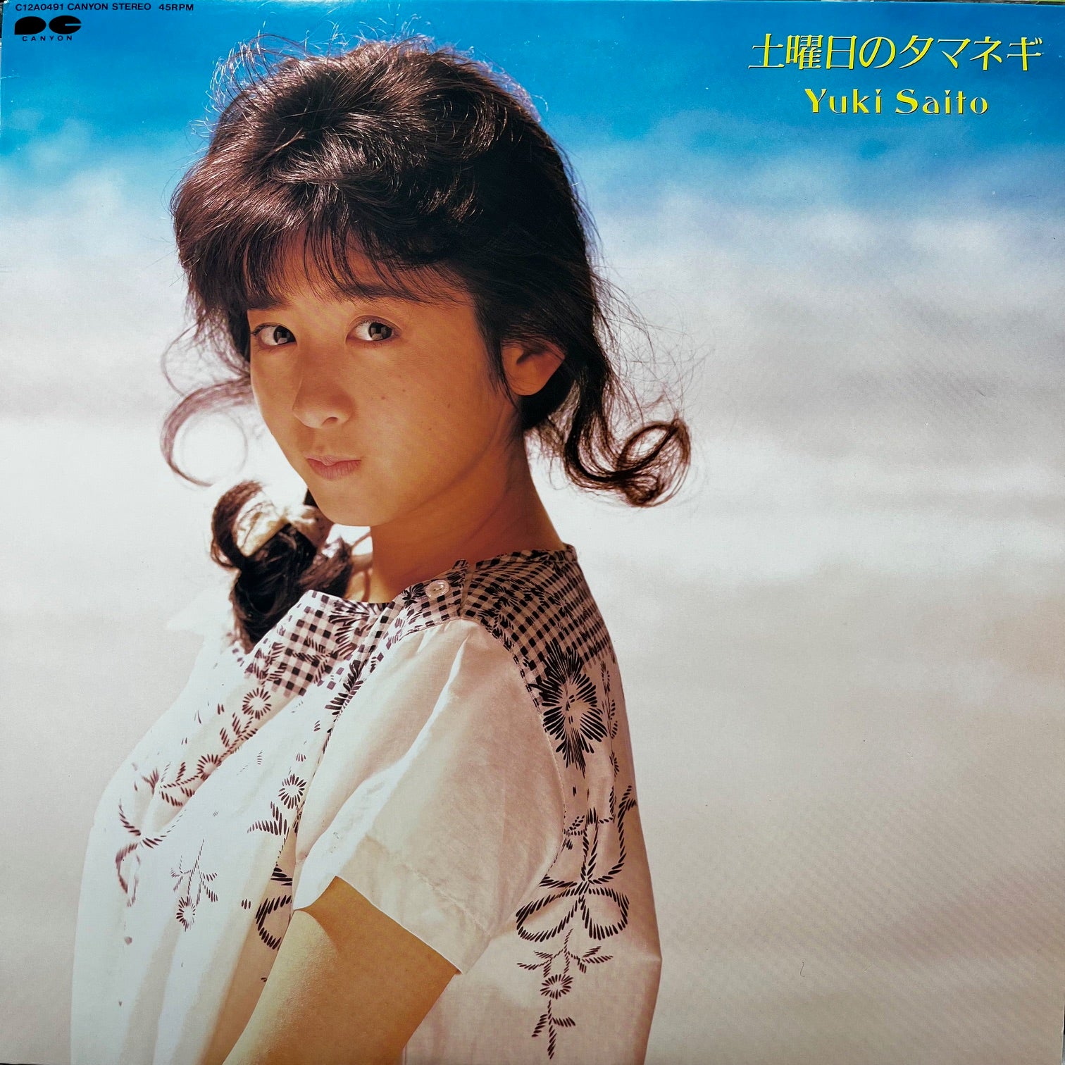 思いがいつかくる　小説・日本エンリッチ・グループの産声　 1996〜2000 思いがいつかくる 小説・日本エンリッチ・グループの産声 1996