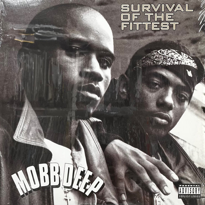洋楽 MOBB DEEP SURVIVAL OF THE FITTEST MOBB DEEP / Survival Of The Fittest (07863-64355-1, 12inch