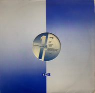 EVELYN CHAMPAGNE KING / Day To Day (V-56146, 12inch)