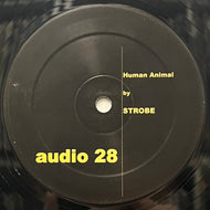 STROBE / Human Animal (Fine Audio Recordings – audio 28, 12inch)