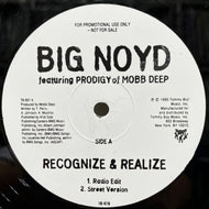 BIG NOYD / Recognize & Realize (TB 679, 12inch) Promo