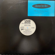 AROUND THE WAY / Really Into You With Rap (MFJP-1003, 12inch)