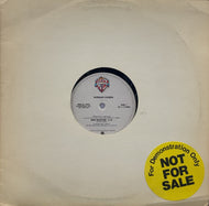 DONALD FAGEN / New Frontier / The Goodbye Look ( Warner Bros. Records – PRO-A-1092, 12inch)