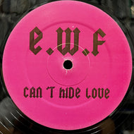 EARTH WIND & FIRE / Can't Hide Love (Masters At Work Remix) (12inch)