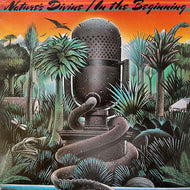 NATURE'S DIVINE / In The Beginning (INF 9013, LP)