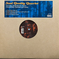 SOUL QUALITY QUARTET / Como Antes / Aphotic Marauder / Pressure (A Hundred Birds & Stockholm Cyclo Remixes) ICP 120, 12inch