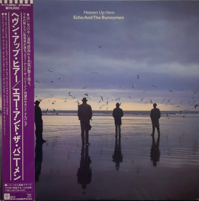 レコード Echo and The Bunnymen エコー&ザ・バニーメン - 洋楽