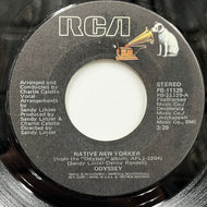 ODYSSEY / Native New Yorker (PB-11129, 7inch)