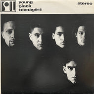 YOUNG BLACK TEENAGERS / Young Black Teenagers (MCA 10031, LP)