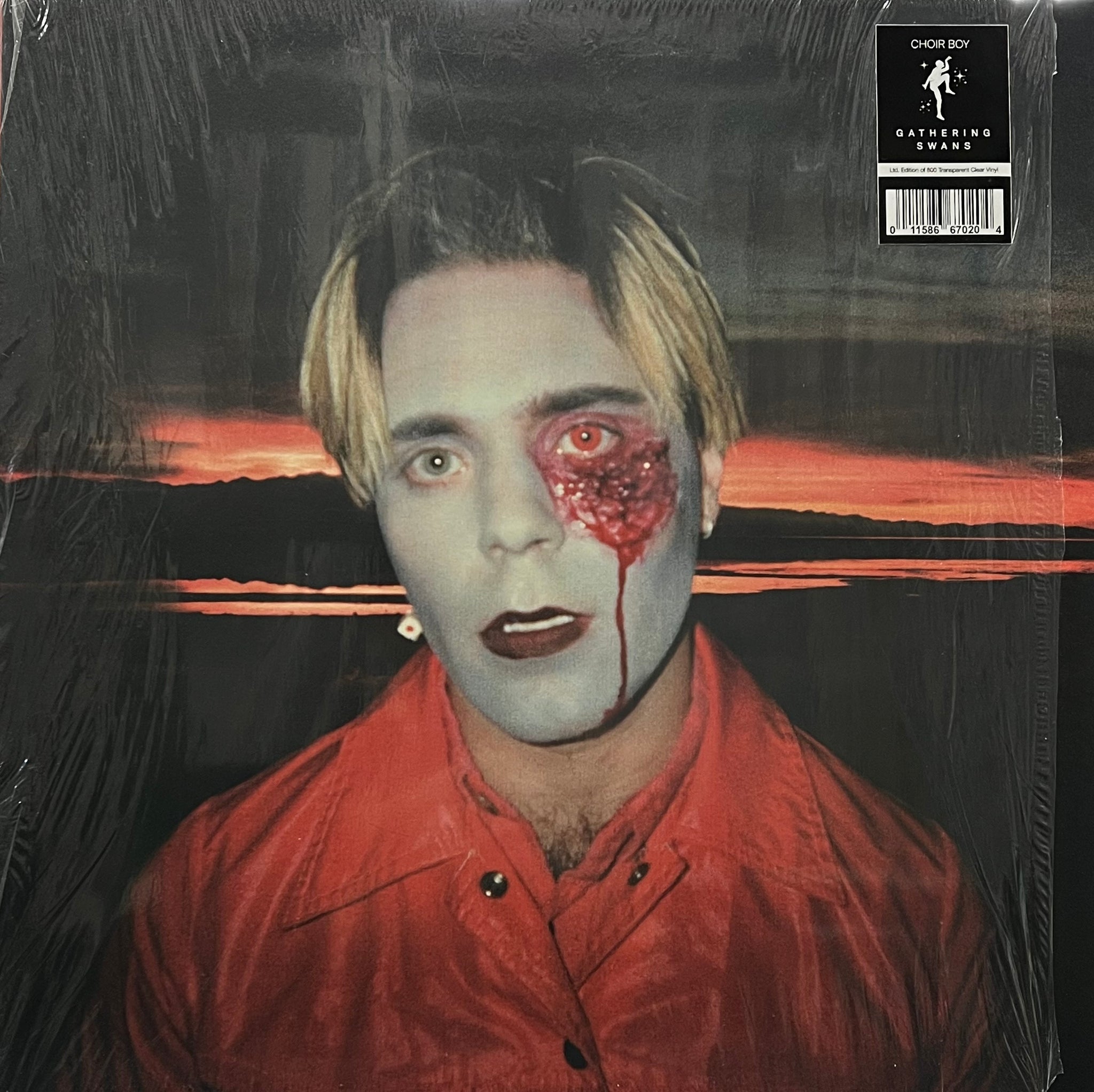 CHOIR BOY / Gathering Swans (Dais Records – DAIS 147, LP 