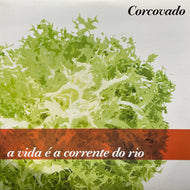 CORCOVADO / A Vida E A Corrente Do Rio (HCR-9606, 12inch)