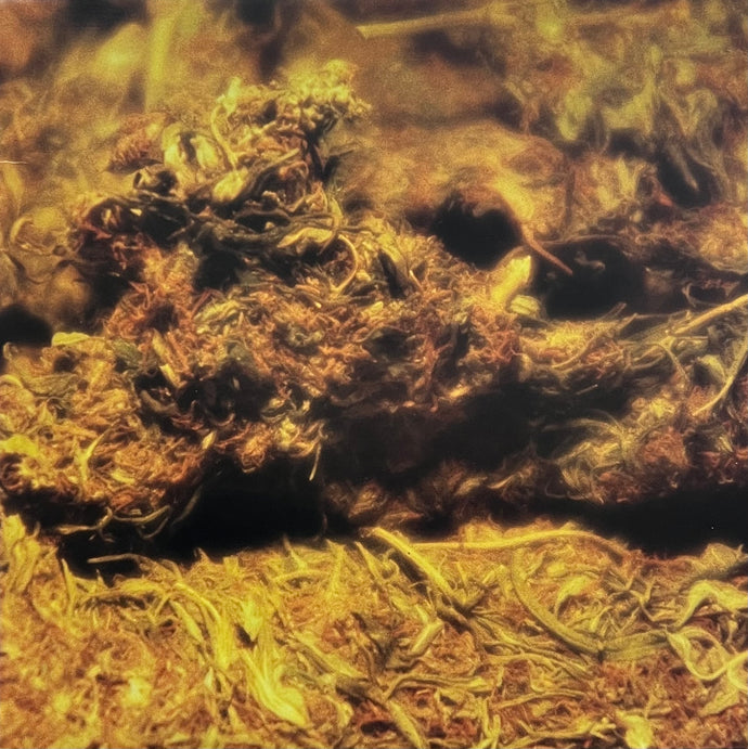 D'ANGELO / Brown Sugar (EMI, Y-58360, 12inch) – TICRO MARKET