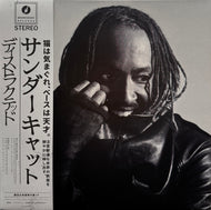 Thundercat / Distracted (Brainfeeder, BF165NBR LP Clear Vinyl, LP) 帯付