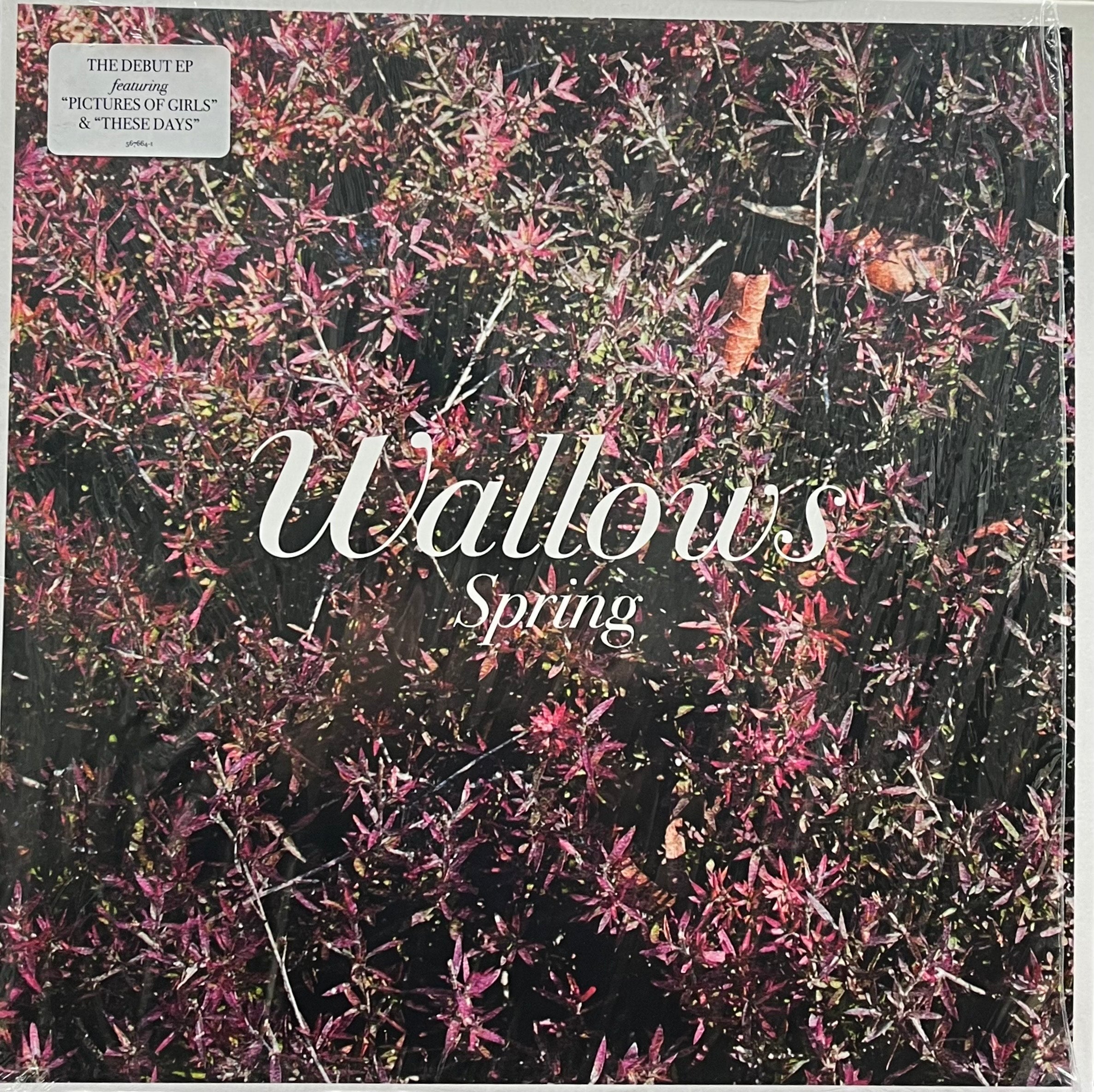 WALLOWS / Spring (Atlantic – 567664-1, EP) Green & Pink Coloured Vinyl ...