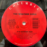 WEATHER GIRLS / It's Raining Men / I'm Gonna Wash That Man Right Outa My Hair (44H 69168, 12inch)
