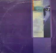 RONI SIZE / Watching Windows (Talkin' Loud – TLXX 31, 12inch×2)