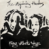 EXPLODING THUMBS / Flying Without Wings (HOLP31, LP)