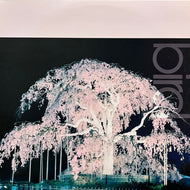 BIRD / 桜 (AIJT5097, 12inch)