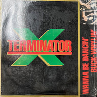 TERMINATOR X & THE VALLEY OF THE JEEP BEATS / Wanna Be Dancin' (44 73507, 12inch)