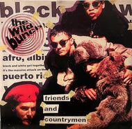 WILD BUNCH / Friends And Countrymen (12 BRW 98, 12inch)