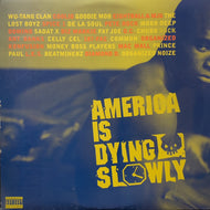 O.S.T. (WU-TANG CLAN, PETE ROCK, DE LA SOUL) / America Is Dying Slowly (61925-1, 2LP)
