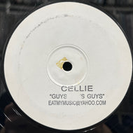 TERESA A.K.A. CELLIE / Guys Guys Guys (PIT 01, 12inch)