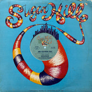 SEQUENCE / And You Know That (SH-548, 12inch)