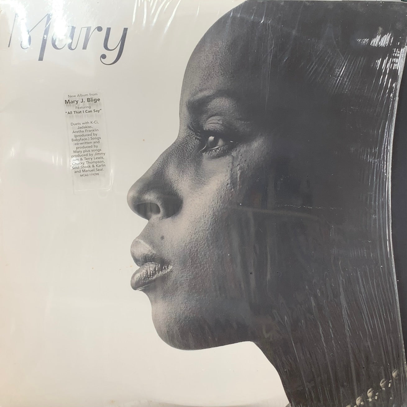 MARY J BLIGE / Mary (MCA2-11929