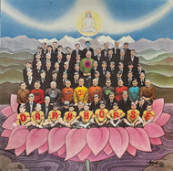 GEORGE HARRISON / Dark Horse (Parlophone – 1C 062-05774, LP)