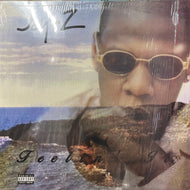 JAY-Z / Feelin' It (PVL 53272, 12inch)