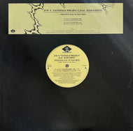 JOE T. VANNELLI PROJECT / Sweetest Day Of May RMX (Dream Beat – DB 015, 12inch)