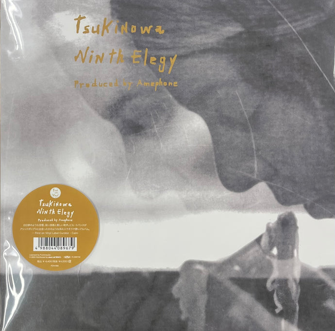 Elegy Tsuki No Ninth Wa – | メルカリ NO Vinyl レコード eBay TSUKI