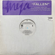 MYA / Fallen (The Remix Plus) (AMRR-11049-1, 12inch)