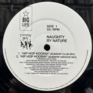 NAUGHTY BY NATURE / Hip Hop Hooray (Reissue, 12inch)