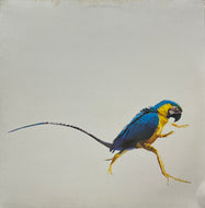 V.A. / Trip Do Brasil 2 (RYTHMiX – SMA5015031, 2LP)
