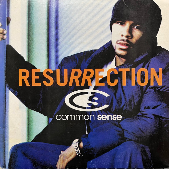 common sense resurrection 2LPレコード COMMON SENSE / Resurrection (Reissue, 12inch) – TICRO MARKET