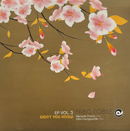 FABIO NOBILE / EP Vol.3 - Didn't You Know (Dejavu – djv 3000016, 12inch)